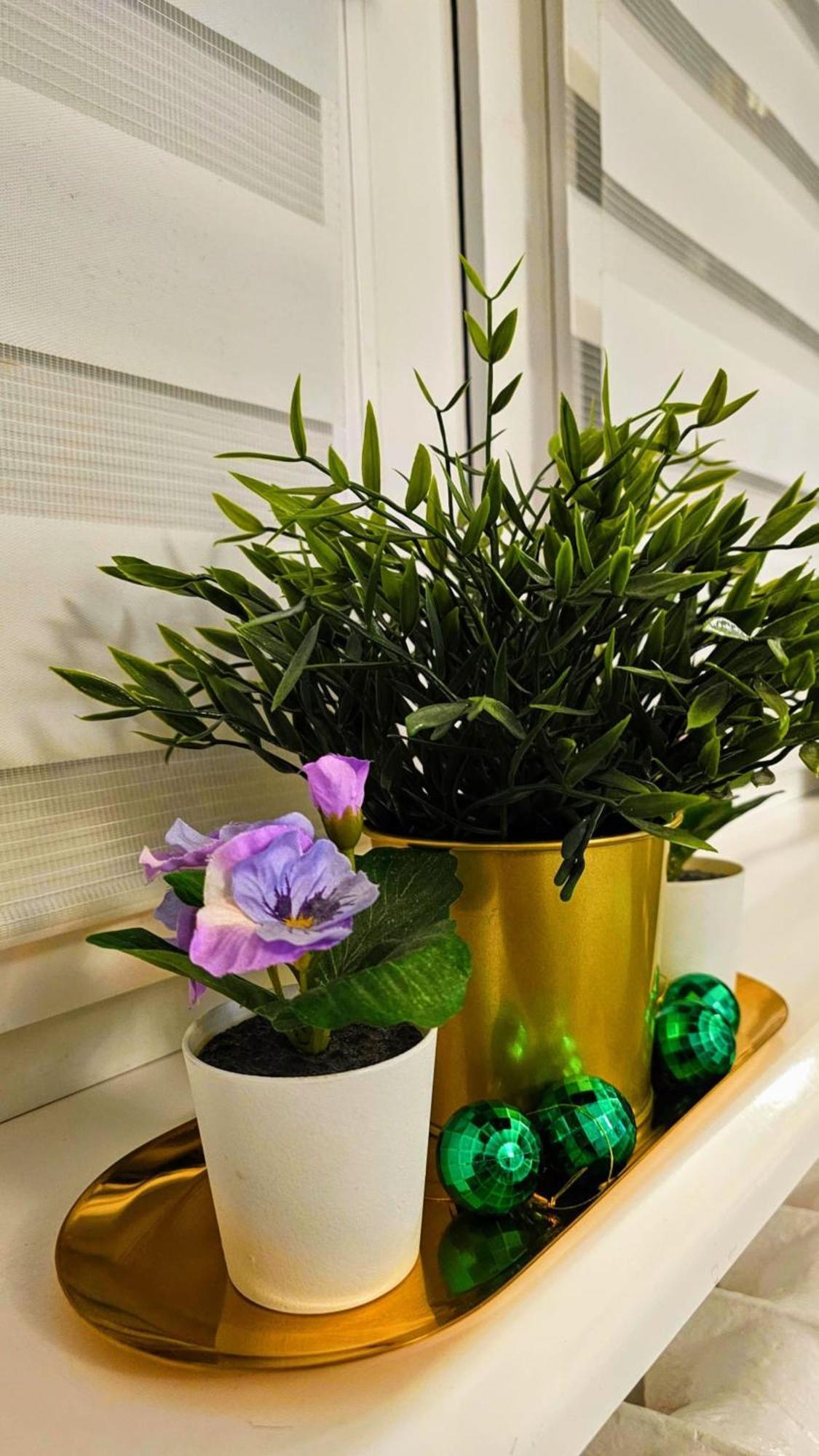 Apartament Zielona Przystan กดัญสก์ ภายนอก รูปภาพ